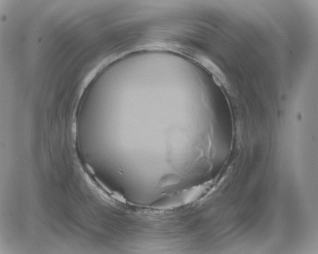 X0000081451428200701261901