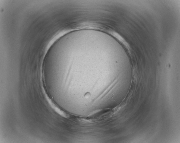 X0000081451431200701261901