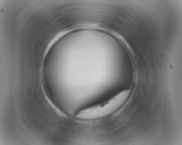 X0000081451432200701261901