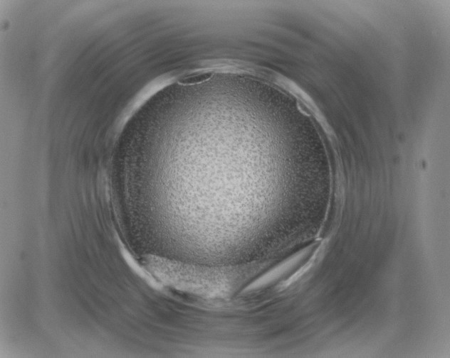 X0000081451433200701261901