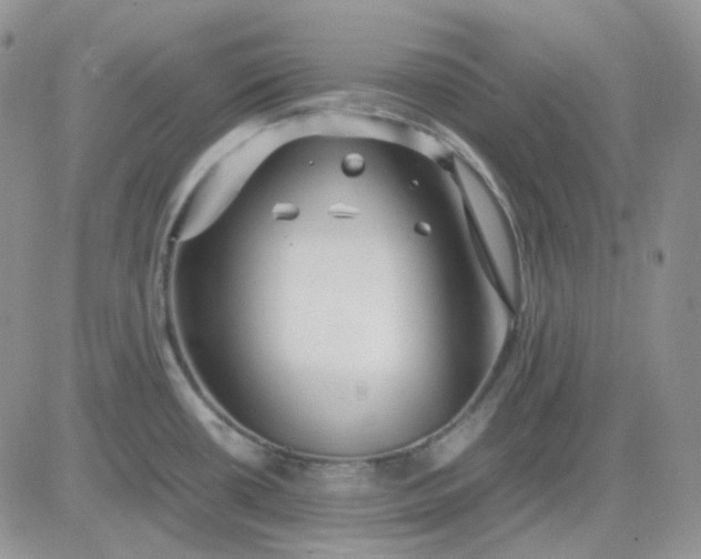 X0000081451434200701261901