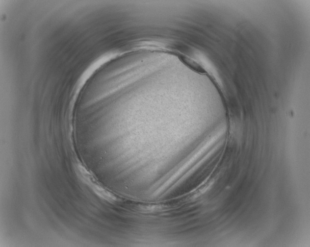 X0000081451435200701261901