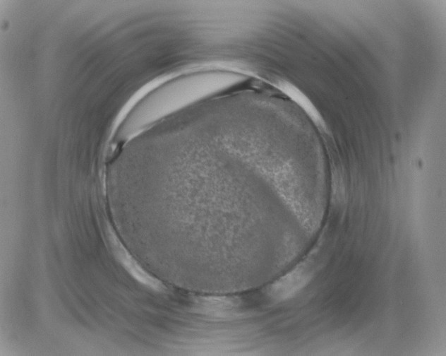 X0000081451436200701261901