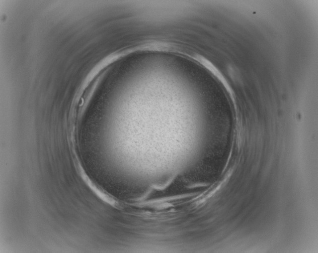 X0000081451437200701261901