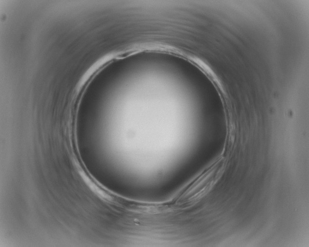 X0000081451438200701261902