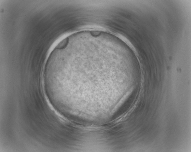 X0000081451440200701261902