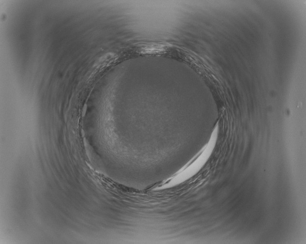 X0000081451441200701261901