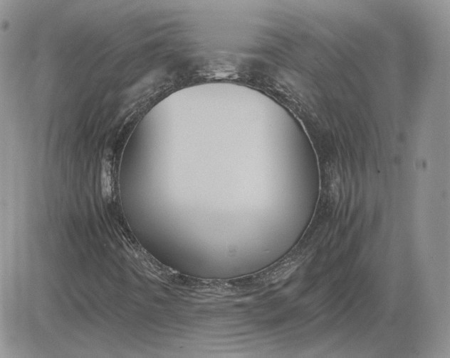 X0000081451442200701261901