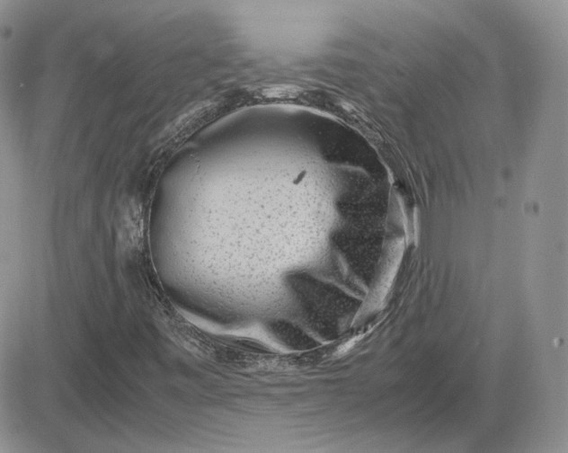 X0000081451443200701261901