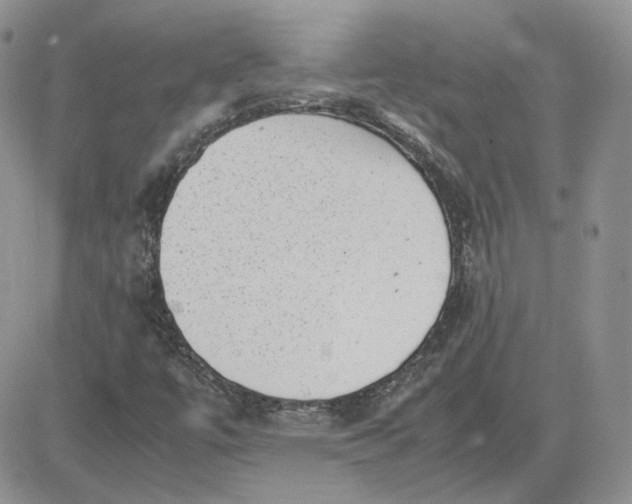 X0000081451447200701261901