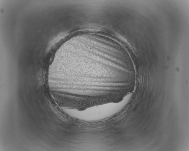 X0000081451448200701261901