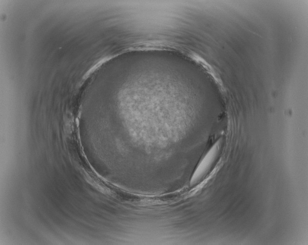 X0000081451449200701261901