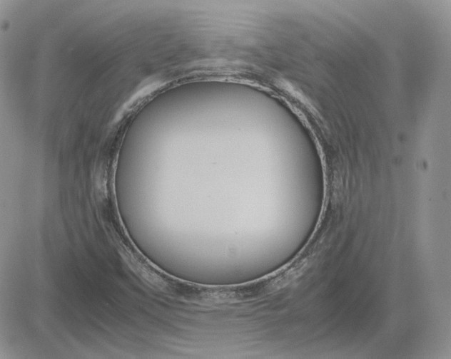 X0000081451451200701261901