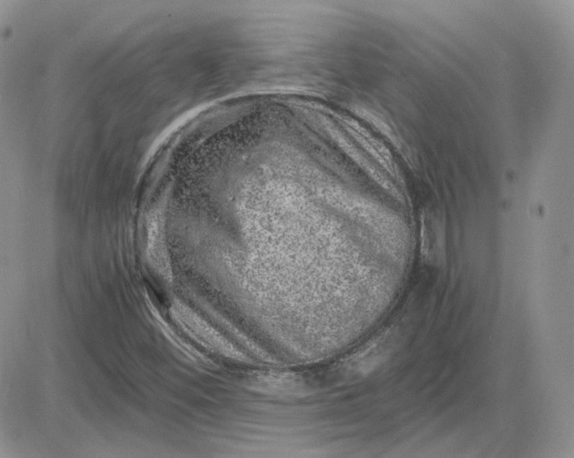 X0000081451452200701261901