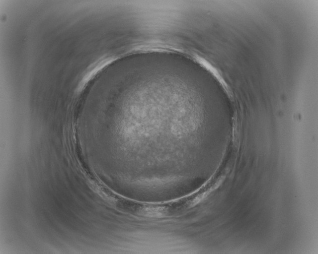 X0000081451453200701261901