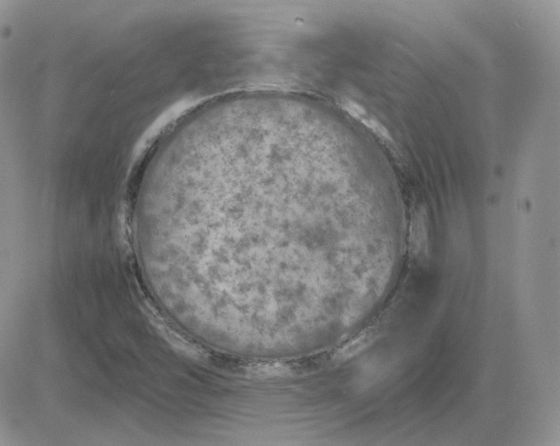 X0000081451454200701261901