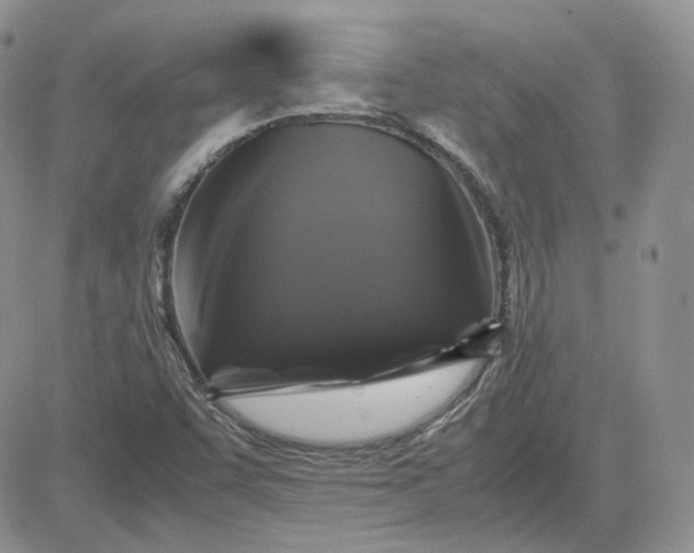 X0000081451455200701261901