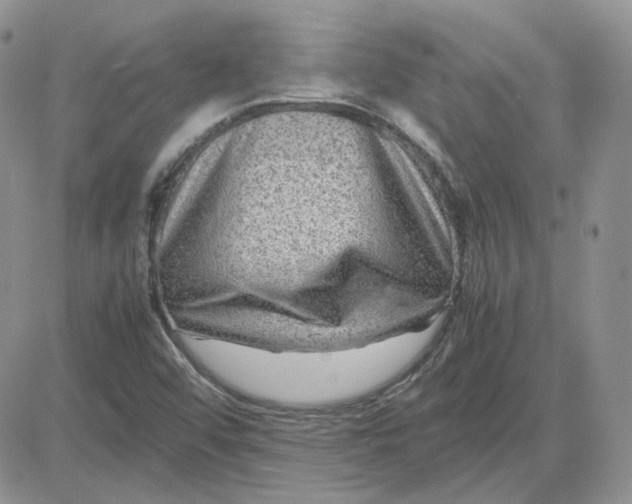 X0000081451456200701261901