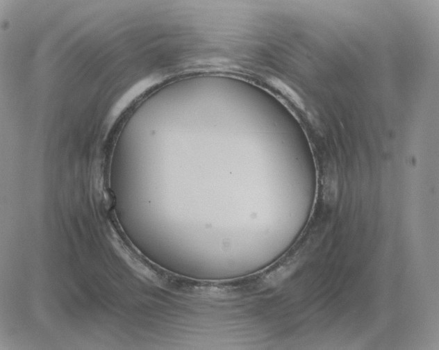 X0000081451458200701261900