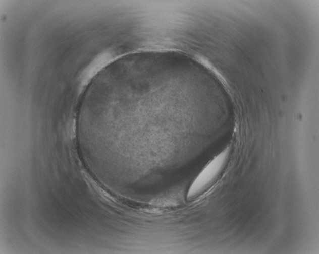 X0000081451459200701261900