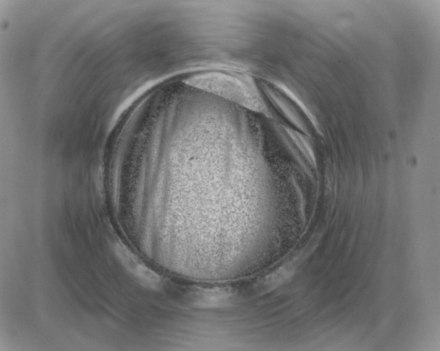 X0000081451460200701261900