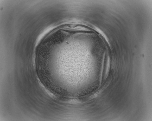 X0000081451464200701261900