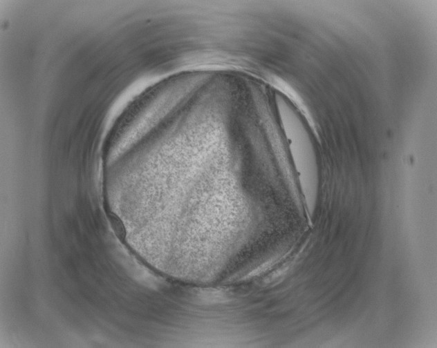 X0000081451472200701261900