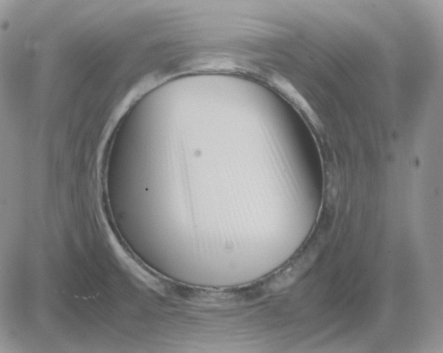 X0000081451475200701261900