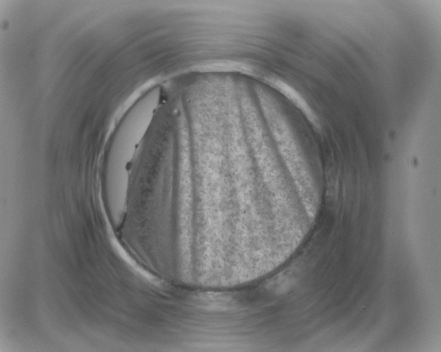 X0000081451476200701261900