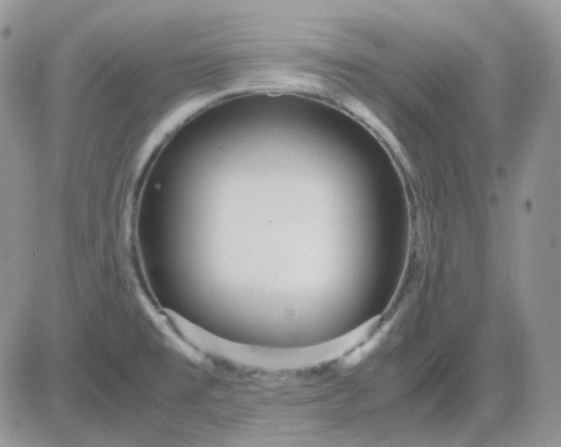 X0000081451477200701261900