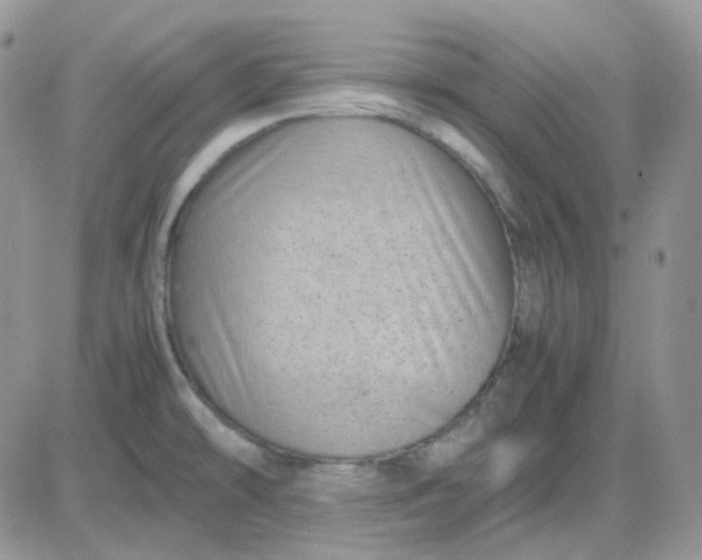 X0000081451478200701261900