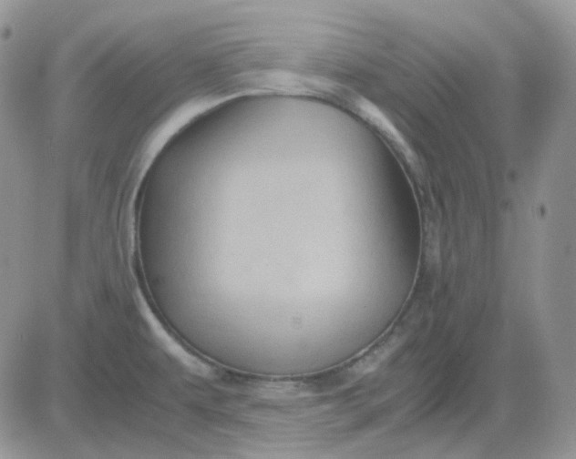 X0000081451479200701261900