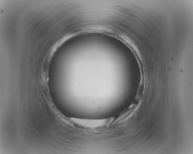 X0000081451481200701261900