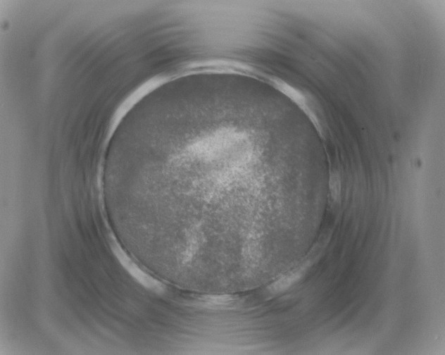 X0000081451482200701261900