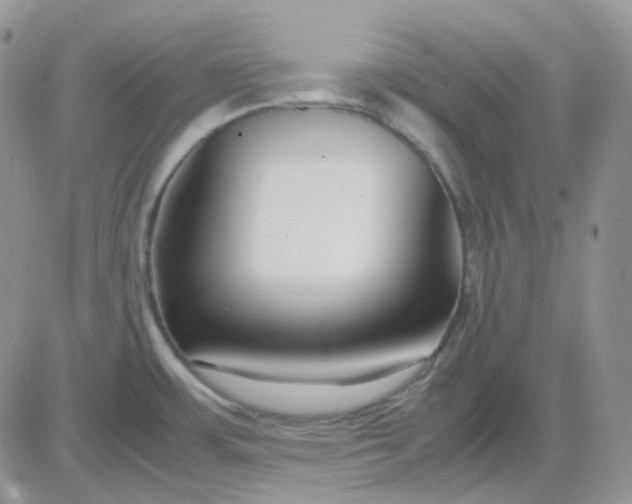 X0000081451483200701261900