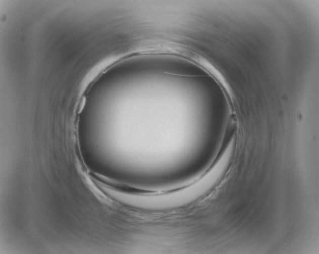 X0000081451485200701261900