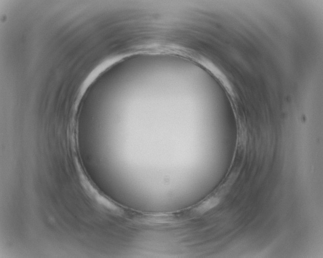 X0000081451486200701261900