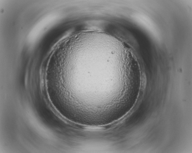 X0000081451487200701261900