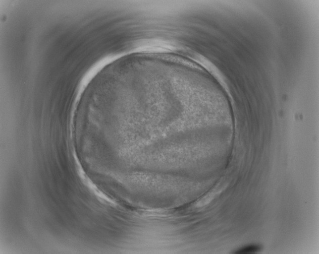 X0000081451488200701261900