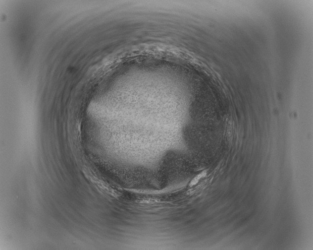 X0000081451489200701261859