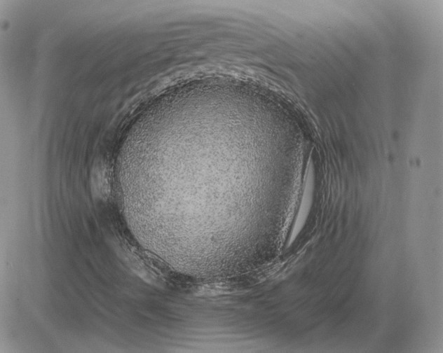 X0000081451490200701261859