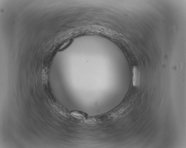 X0000081451491200701261859