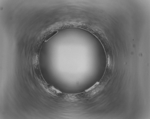 X0000081451492200701261859