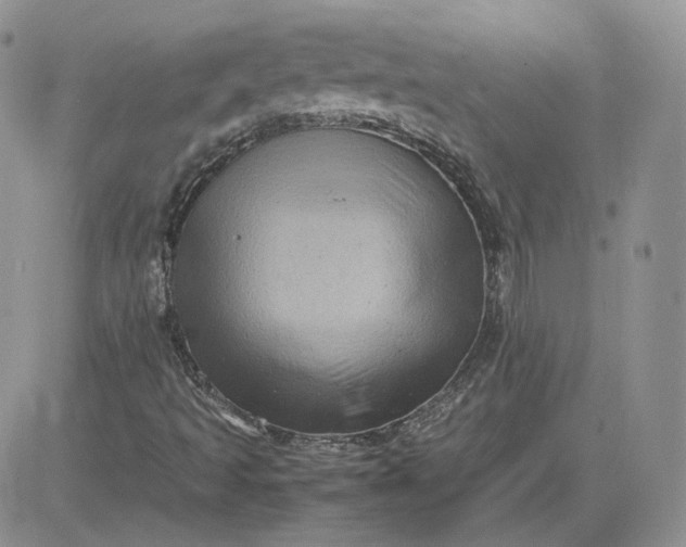 X0000081451493200701261859