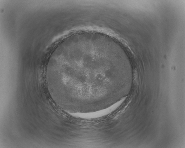 X0000081451494200701261859