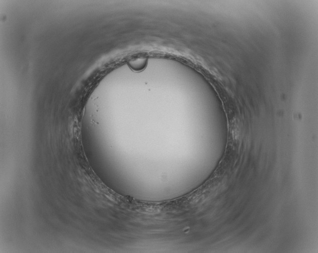 X0000081451495200701261859