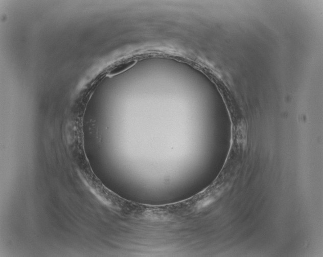 X0000081451496200701261859