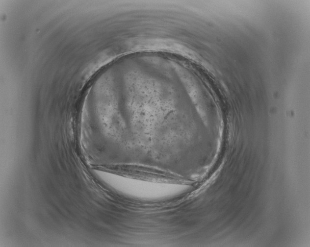 X0000081451497200701261859