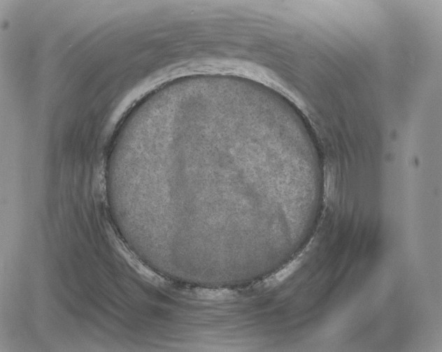 X0000081451498200701261859