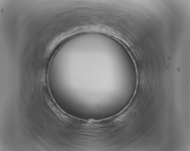 X0000081451499200701261859